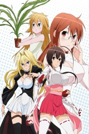 Sekirei Hajimete no Otsukai