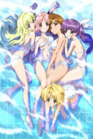 Girls Bravo Second Season