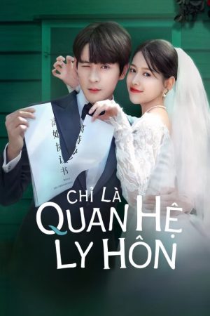 Chỉ Là Quan Hệ Ly Hôn