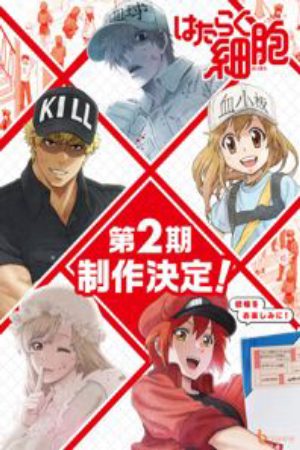 Hataraku Saibou