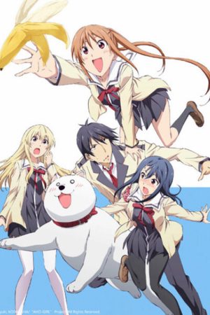 Cô Nàng Ngốc Aho Girl