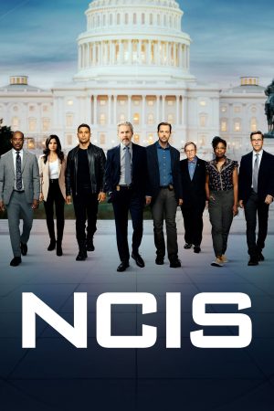 NCIS ( 14)