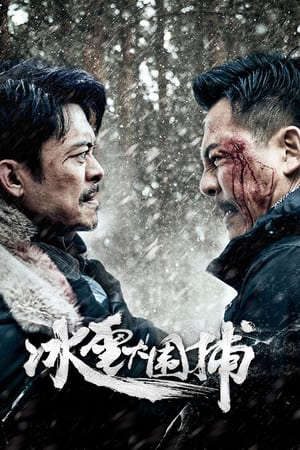 Bão Tuyết Snowstorm