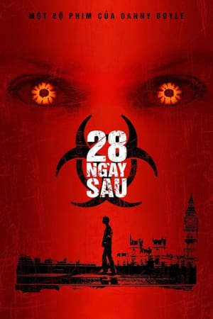28 Ngày Sau