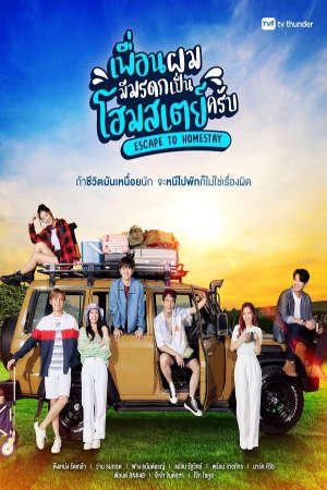 Bạn Tôi Kế Thừa Một Homestay