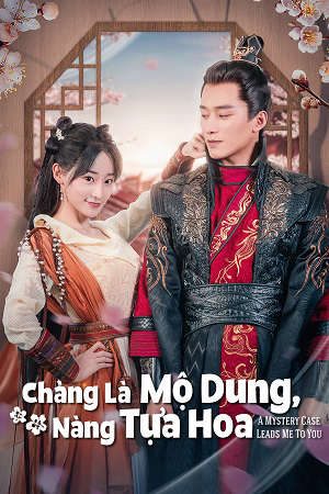 Chàng Là Mộ Dung Nàng Tựa Hoa