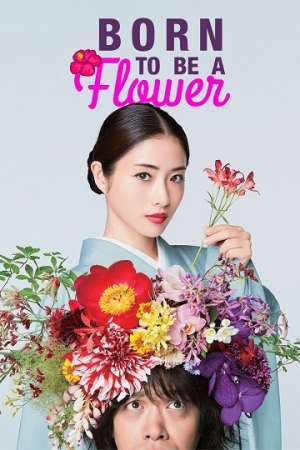 Nàng Hoa Trên Đỉnh Núi
