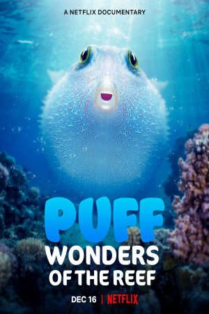 Puff Rạn San Hô Kỳ Diệu
