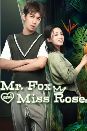 Tình Yêu Chàng Cáo và Nàng Hoa Hồng HD Vietsub